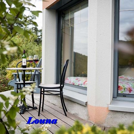 Appartements 5 Personnes Maya Et Louna Xonrupt-Longemer Dış mekan fotoğraf