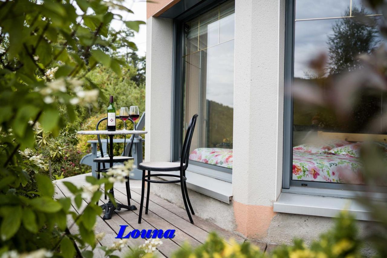 Appartements 5 Personnes Maya Et Louna Xonrupt-Longemer Dış mekan fotoğraf