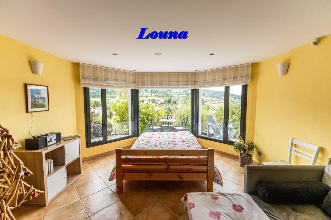 Appartements 5 Personnes Maya Et Louna Xonrupt-Longemer Dış mekan fotoğraf