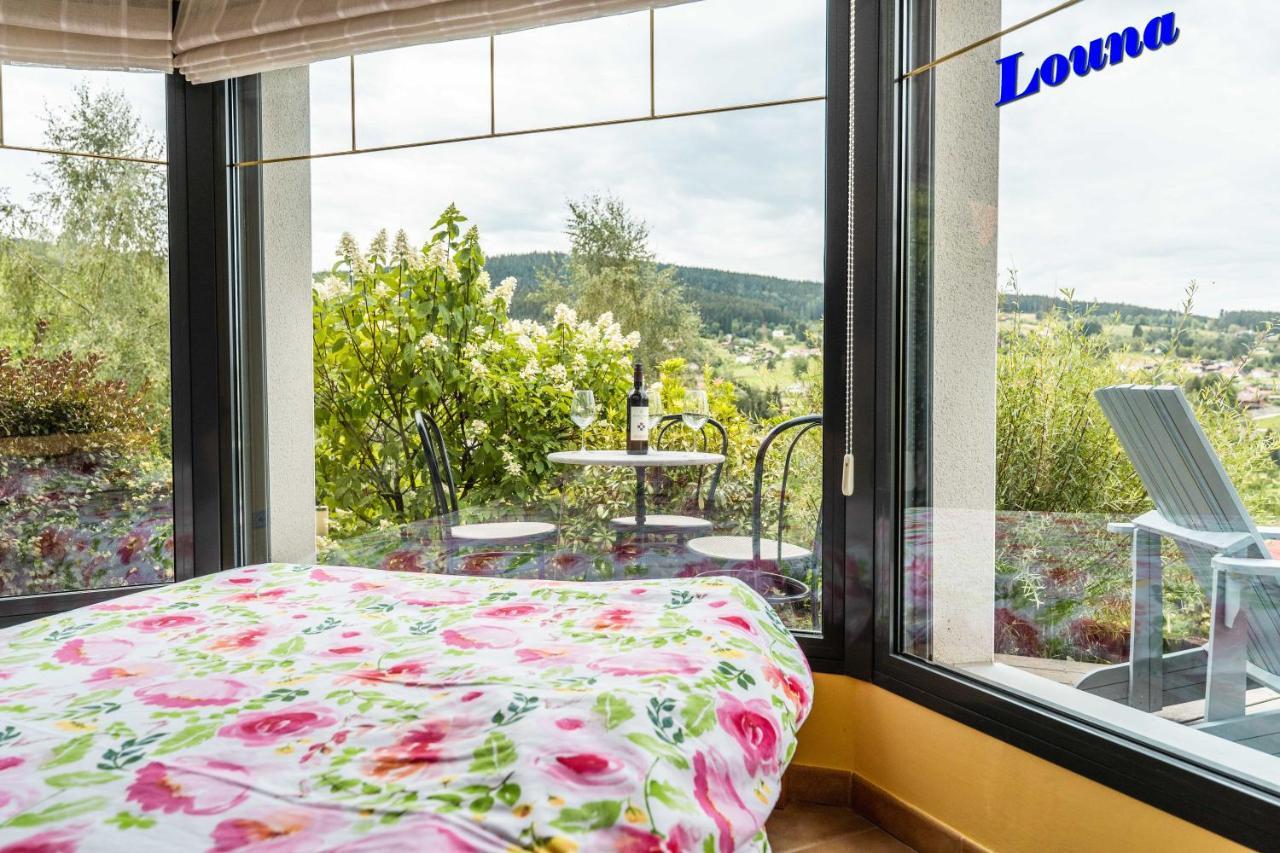 Appartements 5 Personnes Maya Et Louna Xonrupt-Longemer Dış mekan fotoğraf