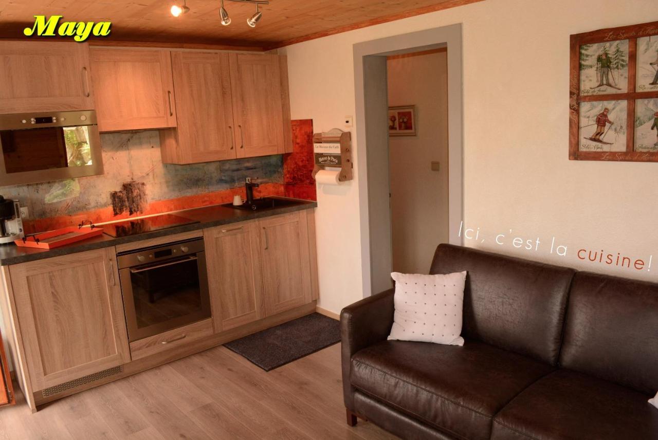 Appartements 5 Personnes Maya Et Louna Xonrupt-Longemer Dış mekan fotoğraf