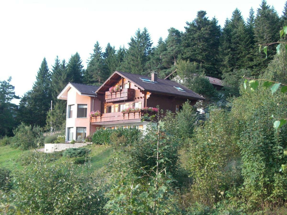 Appartements 5 Personnes Maya Et Louna Xonrupt-Longemer Dış mekan fotoğraf