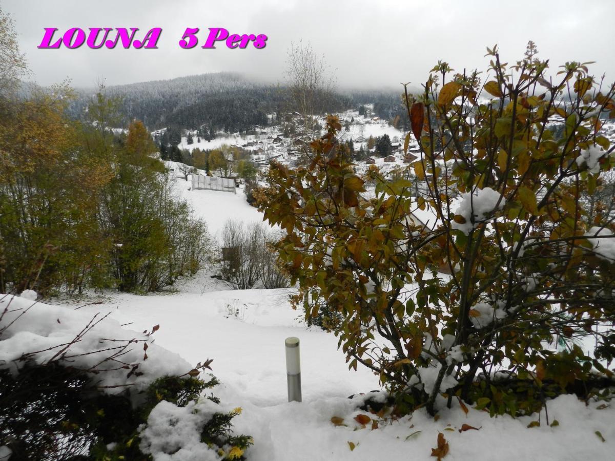 Appartements 5 Personnes Maya Et Louna Xonrupt-Longemer Dış mekan fotoğraf