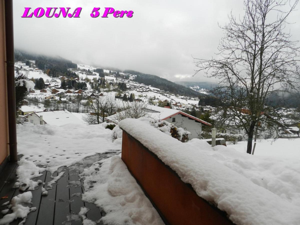 Appartements 5 Personnes Maya Et Louna Xonrupt-Longemer Dış mekan fotoğraf
