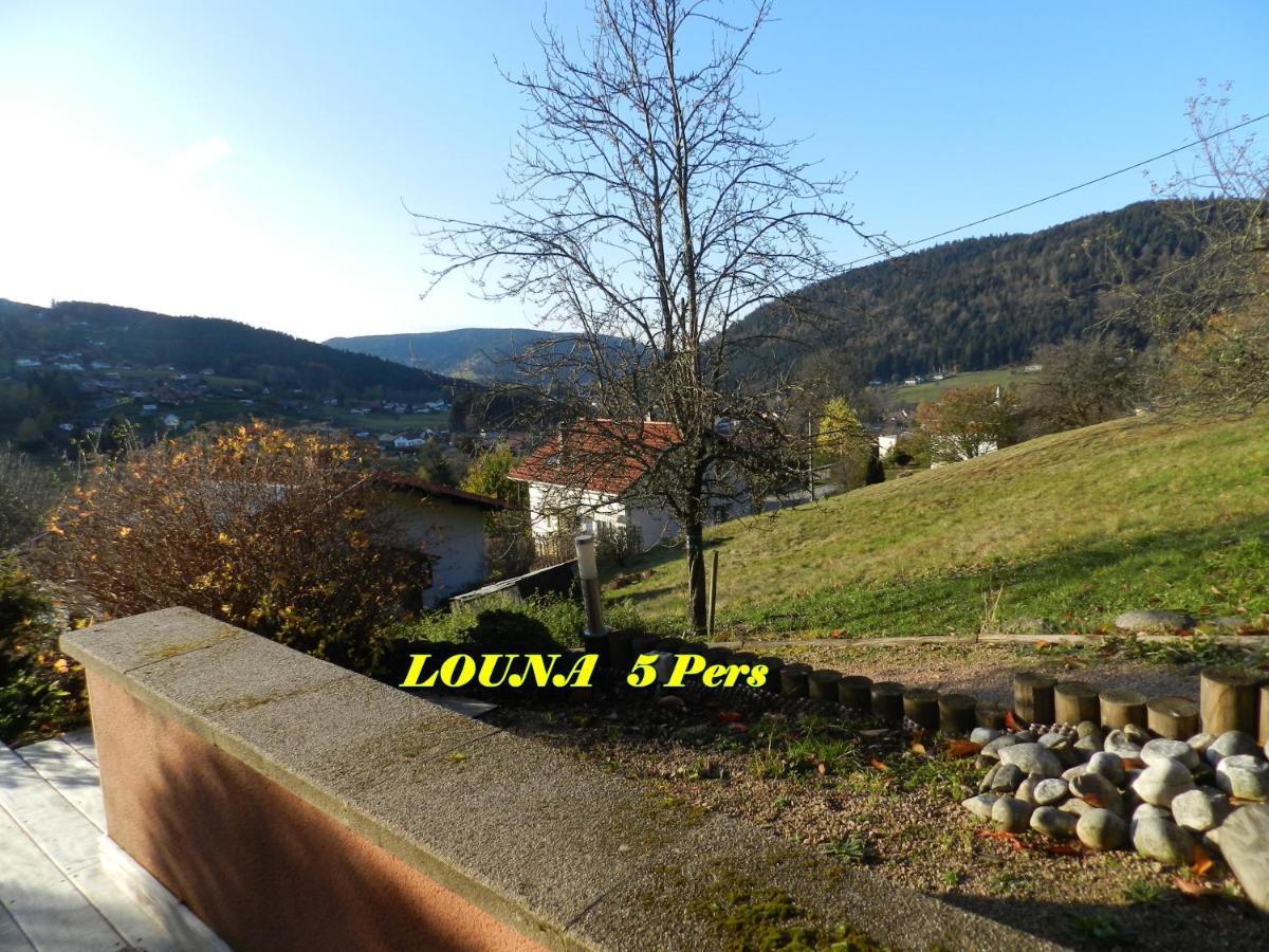 Appartements 5 Personnes Maya Et Louna Xonrupt-Longemer Dış mekan fotoğraf